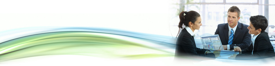 professional services